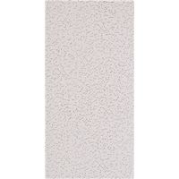 6938864 - 2X4X5/8 FIFTH FC CEILING PNL