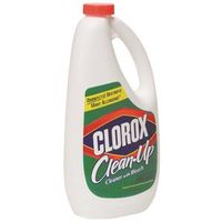 6941819 - 32OZ CLOROX CLEAN UP