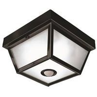 motion activated ceiling light, black