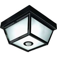 Motion Activated Ceiling Light, Black
