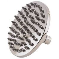 sunflower shower head, chrome 6in.