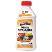 KILLER WEED/GRASS CONC 16OZ   