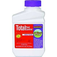 total pest control pint    