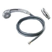 Shower Head with Hose, Chrome