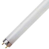 Feit Electric F8T5/CW Fluorescent Lamp, 8 W, T5, Miniature Bipin, 5000 hr - Case of 25