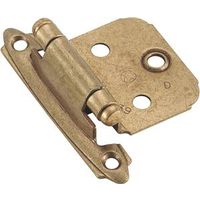 100/100 burn brass steel hinges
