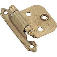 100/100 burn brass steel hinges