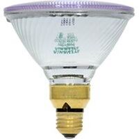 PAR 38 Halogen Daylight Flood, 75 Watt  