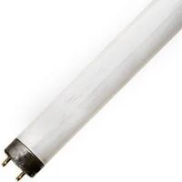 Designer Fluorescent Tube, 40 Watt