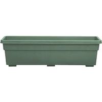 window box, evergreen