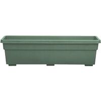 Window Box, Evergreen