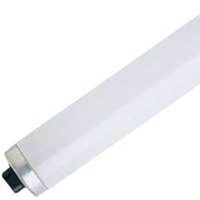 fluorescent cool white high output energy saver, 95 watt