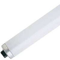 fluorescent cool white high output energy saver, 95 watt