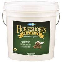 7553522 - 11LB HORSESHOER