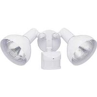White Motion Security Light, Dual