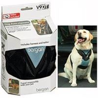 7641699 - DOG AUTO HARNESS W/ TETHER XL