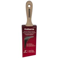 Professional Short Brush, 2in.