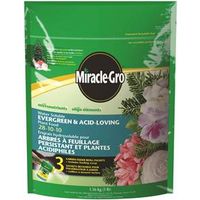 Miracle-Gro 110090 Acid-Loving Evergreen Plant Food