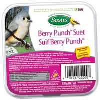 Armstrong Milling 1022250 Berry Punch Suet