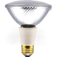 Par30 Halogen Bulb Spotlight, 50 Watt 