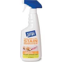 7839624 - #1 FOOD/PET/STAIN RMVR 22 OZ