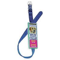 Nylon Collar Royal Blue, 18" x 5/8"