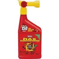 Ortho Max Bug-B-Gon, 32 oz