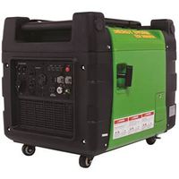 7918691 - 3000WATT INVERTER/GENERATOR