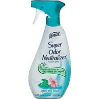 Renuzit Air Freshener, 13 oz Sun After The Rain