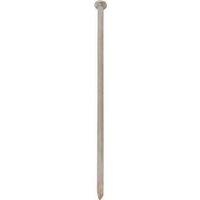 8in. galvanized gutter spikes