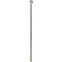 8in. galvanized gutter spikes