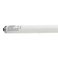 Cool White High Output Fluorescent, 75 Watt T12     