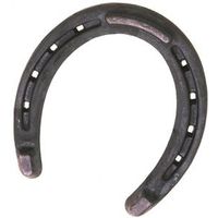8269797 - HORSESHOE HEELED BRONCO