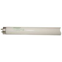 linear fluorescent light bulb, 24in.