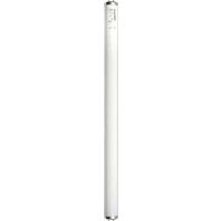 Pro Fluorescent Cool White Bulb, 20 Watt