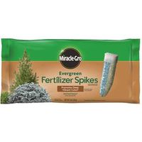 Miracle-Gro 1003761 Evergreen Fertilizer Spike