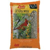 lyric black stripe sunflowers 5 lb