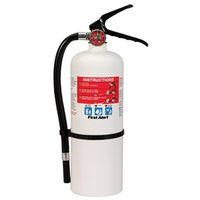 8657868 - 2A10BC EXTINGUISHER WHITE