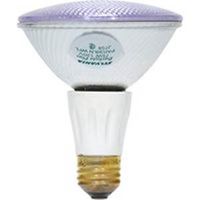 par 30 longneck day light flood, 75 watt