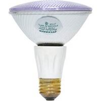 PAR 30 Longneck Day Light Flood, 75 Watt