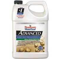 thompsons waterseal advanced protector, 1 gal