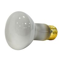 8719791-30W REFLECTOR FLOOD R20