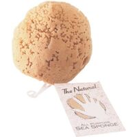 Natural Yellow Sponge, 6-7"