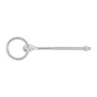 Ring Bolt with Nut, 2 1/2in.