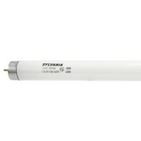 Fluorescent Cool White Bulb, 18 Watt