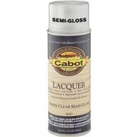 8925448 - BRUSH LAQUER SPRAY OIL SEM-GLS