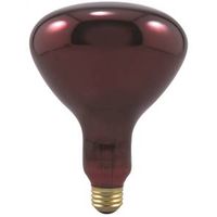 heat lamp, 250w red