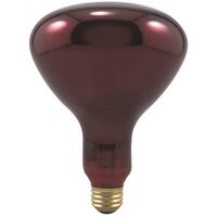 Heat Lamp, 250W Red