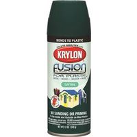 Krylon K02424 Spray Paint