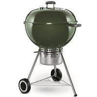8973075 - ONE-TOUCH GOLD GRN CHARC GRILL